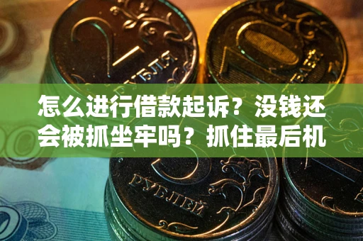 武汉怎么进行借款起诉？没钱还会被抓坐牢吗？抓住最后机会！