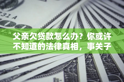 武汉父亲欠贷款怎么办？你或许不知道的法律真相，事关子女未来