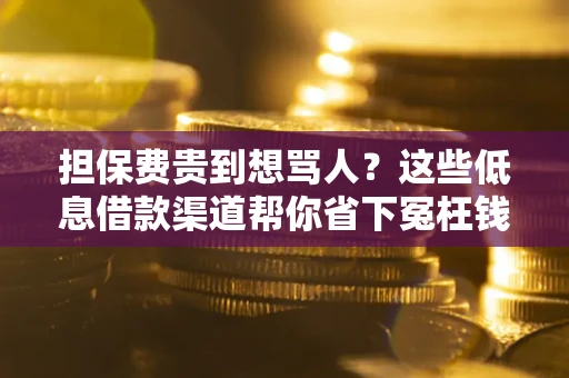 武汉担保费贵到想骂人？这些低息借款渠道帮你省下冤枉钱