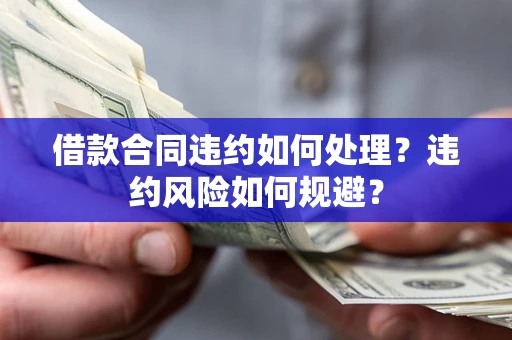武汉借款合同违约如何处理？违约风险如何规避？