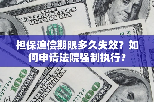 武汉担保追偿期限多久失效？如何申请法院强制执行？