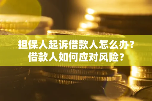 武汉担保人起诉借款人怎么办？借款人如何应对风险？