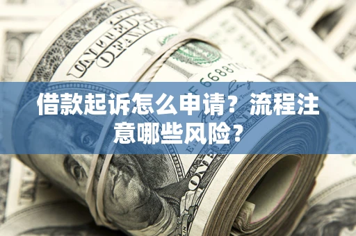 武汉借款起诉怎么申请？流程注意哪些风险？