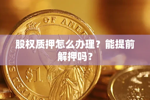 武汉股权质押怎么办理？能提前解押吗？
