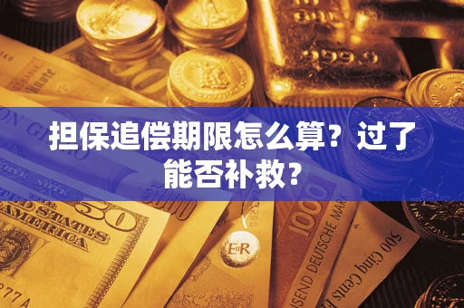 武汉担保追偿期限怎么算？过了能否补救？